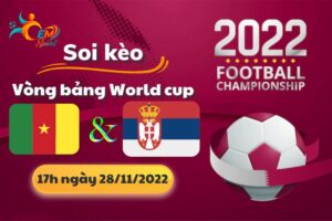 Nhận Định Tỉ Số, Soi Kèo Cameroon vs Serbia, 17h Ngày 28/11 - World Cup 2022