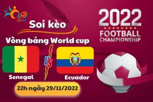 Nhận Định Tỉ Số, Soi Kèo Ecuador vs Senegal, 22h Ngày 29/11 - World Cup 2022