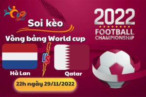 Nhận Định Tỉ Số, Soi Kèo Hà Lan vs Qatar, 22h Ngày 29/11 - World Cup 2022