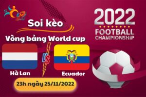 Soi Kèo, Nhận Định Tỉ Số Hà Lan vs Ecuador, 23h Ngày 25/11 - World Cup 2022